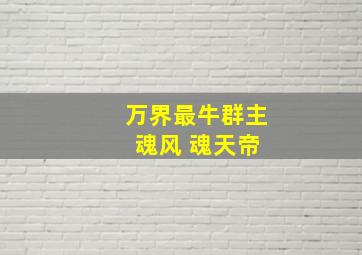 万界最牛群主 魂风 魂天帝